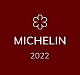 michelin logo